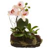 Orchid Island (Set of 2)