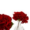 HYDRANGEA IN GLASS VASE