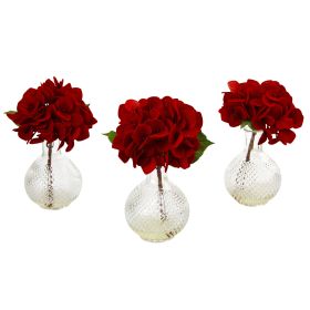 HYDRANGEA IN GLASS VASE