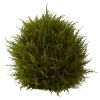 Cedar Sphere