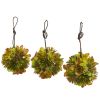 Mixed Succulent Hanging Ball (Set of 3)