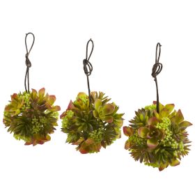 Mixed Succulent Hanging Ball (Set of 3)
