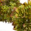 Mixed Succulent Hanging Ball (Set of 2)