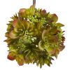 Mixed Succulent Hanging Ball (Set of 2)