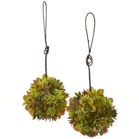 Mixed Succulent Hanging Ball (Set of 2)