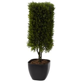 Cedar Column Topiary