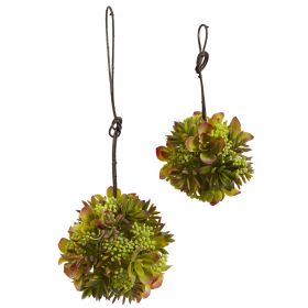 Mixed Succulent Spheres (Set of 2)