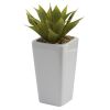 Mini Agave w/ Planter (Set of 3)