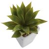Mini Agave w/ Planter (Set of 3)