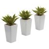 Mini Agave w/ Planter (Set of 3)