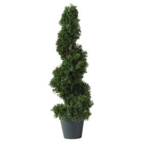 Cedar Spiral Tree w/452 Lvs