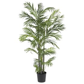 Areca Palm Tree x 6 w/1072 Lvs