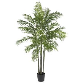 Areca Palm Tree x 7 w/1332 Lvs