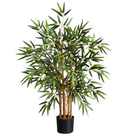 Multi Bambusa Bamboo Tree w/500 Lvs