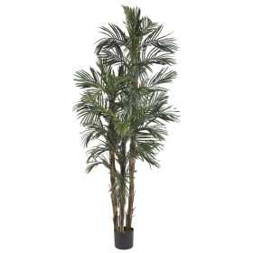 Robellini Palm Tree w/38 Lvs