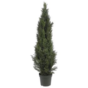 Mini Cedar Pine Tree w/1565 Lvs