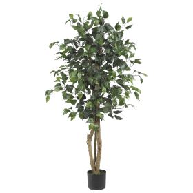 Ficus Tree w/504 Lvs