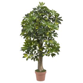Schefflera Tree (Real Touch)