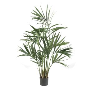 Kentia Palm Tree x 7 w/124 Lvs