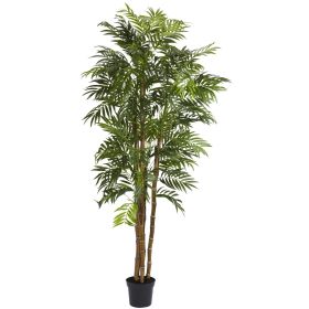 Bella Palm Tree w/1496 Lvs