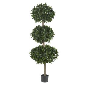 Sweet Bay Triple Ball Tree w/2664 Lvs