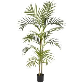 Areca Palm Silk Tree x 3 w/296 Lvs