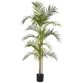 Areca Palm Tree x 4 w/438 Lvs