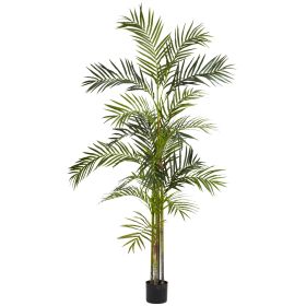 Areca Palm Silk Tree x 5 w/580 Lvs