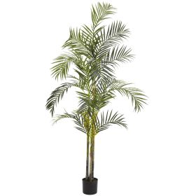 Areca Palm Tree x 4 w/564 Lvs