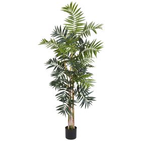 Bamboo Palm Tree x 6 w/582 Lvs