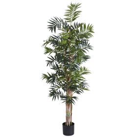 Bamboo Palm Tree x 8 w/776 Lvs