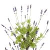 Lavender Topiary Tree