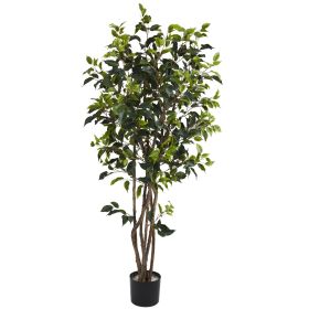 Ficus Bushy Tree w/780 Lvs