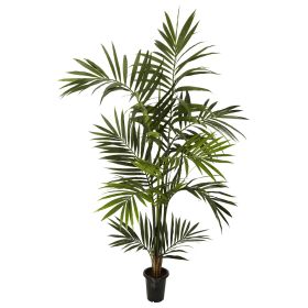 Kentia Palm Tree x 10/Fronds