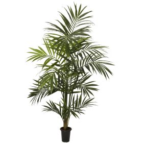 Kentia Palm Tree w/13 Fonds