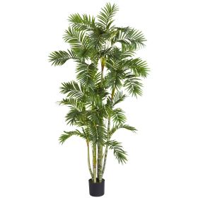 Areca Palm Tree w/1155 Lvs