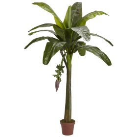 Banana Tree (Real Touch)