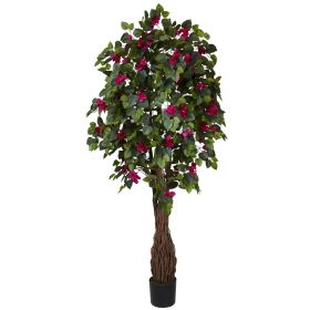 Multi Vine Bougainvillea Tree w/990 Lvs