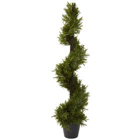 Rosemary Spiral Tree w/543 Lvs (Indoor/Outdoor)