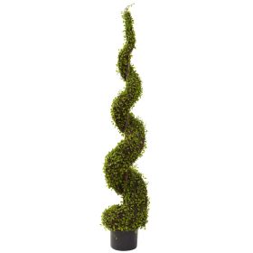 Mohlenbechia Spiral Tree