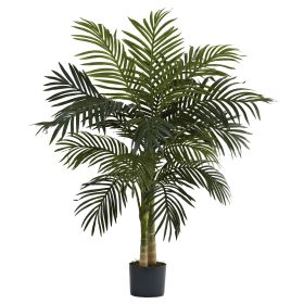 Golden Cane Palm Tree x 2 w/15 Lvs