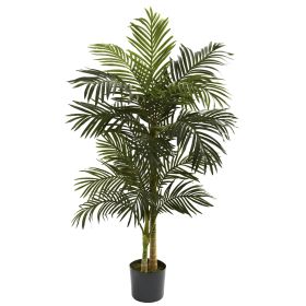 Golden Cane Palm Tree x 2 w/18 Lvs
