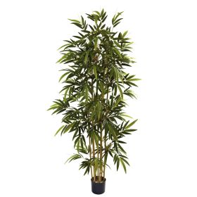 Bamboo Tree x 7 w/1024 Lvs