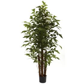 Fishtail Palm Tree x 5 w/594 Lvs