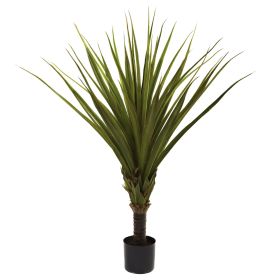Spiked Agave Tree w/33 Lvs