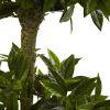 Triple Bay Leaf Top UV Resit w/1404 Lvs (Indoor/Outdoor)