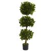 Triple Bay Leaf Top UV Resit w/1404 Lvs (Indoor/Outdoor)