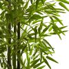 Bamboo Tree UV Resistant x 3 w/880 Lvs (Indoor/Outdoor)