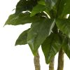 Bird Nest Tree UV Resist x 3 w/90 Lvs (Indoor/Outdoor)