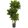 Bird Nest Tree UV Resist x 3 w/90 Lvs (Indoor/Outdoor)